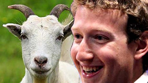 Mark Zuckerberg's new challenge: slaughtering goats, chickens and pigs.
