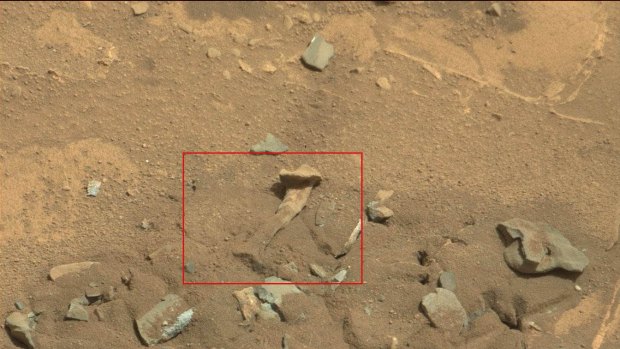 Alien thigh bone? NASA says highly unlikely.