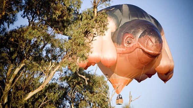3.5 kilometres of fabric was used in the construction of the sky whale balloon.