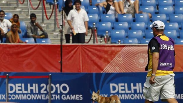 A stray dog is seen in the infield following the men's 400m heats.
