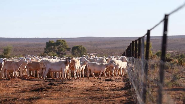 Waste of cash: The tide turns against money for farmers caught out by the drought.
