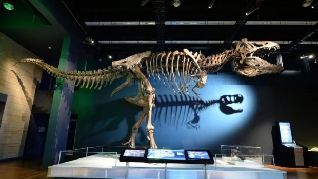 <i>Tyrannosaurs - Meet the Family</i>, a temporary touring exhibition, is running at Scienceworks.