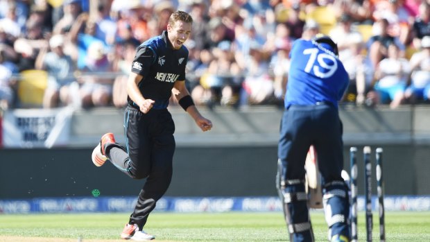 Seventh heaven: New Zealand's Tim Southee celebrates one of his wickets.