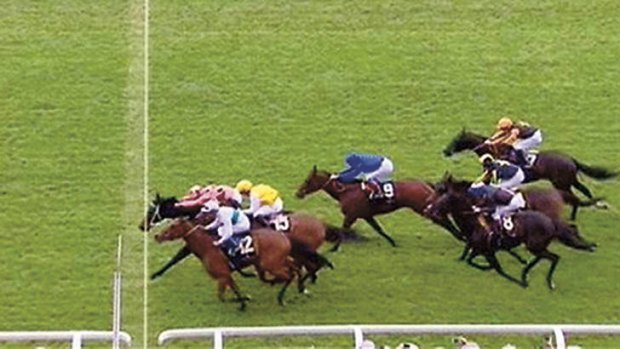 By a nose … Black Caviar wins the Diamond Jubilee Stakes at Royal Ascot.