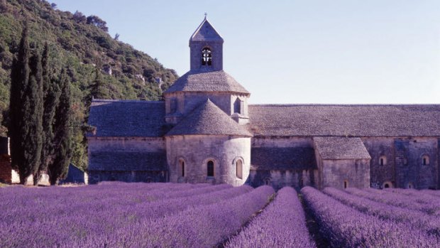 A lavender field in Provence.