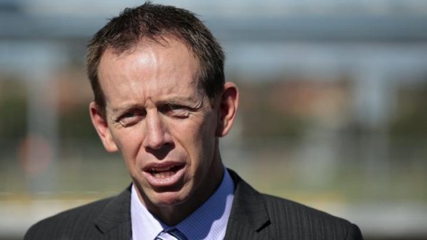 Greens Minister Shane Rattenbury says the Uriarra solar farm project would have faced less opposition if it was properly discussed with residents before plans were lodged.