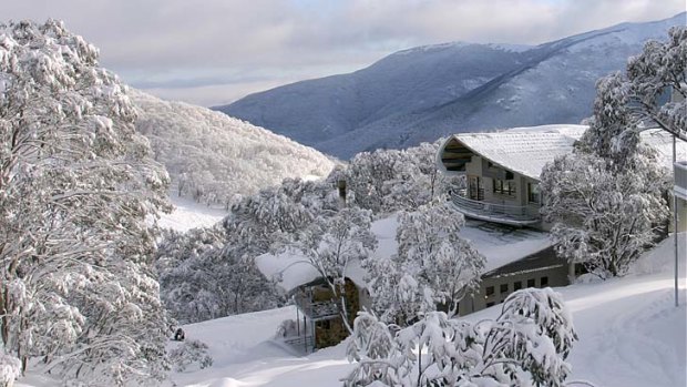 Cold outside... Astra Alpine Lodge.