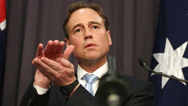 Working together: Greg Hunt, who met with his counterparts in Canberra.