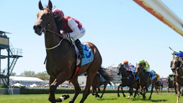 Star filly: Blue Diamond winner Earthquake resumes in the Furious Stakes on Saturday.