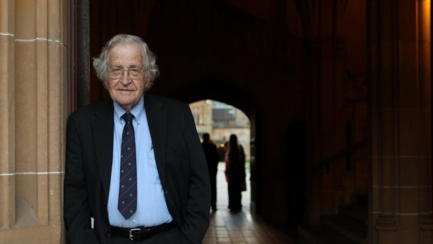Noam Chomsky also signed the petition that has angered Turkish authorities.