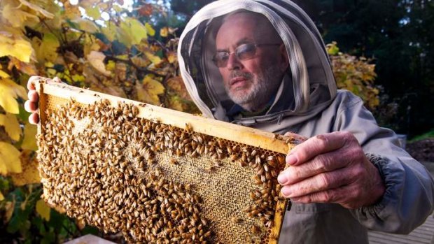 Mt Evelyn beekeeper Bernie Heinze says neonicotinoid poison can be spread back to hives.