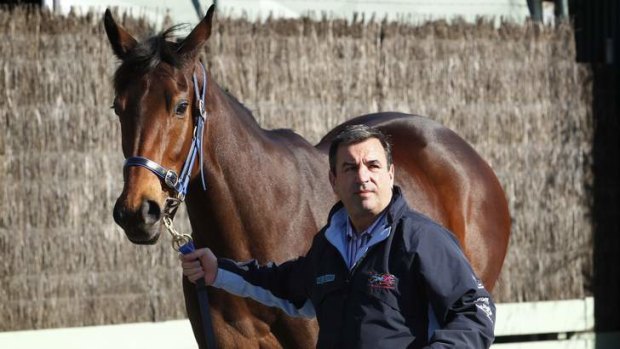 High expectations: Trainer Mark Kavanagh with champion racehorse Atlantic Jewel.