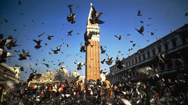 Leaving their mark ... pigeons delighted generations of tourists in St Mark's Square.