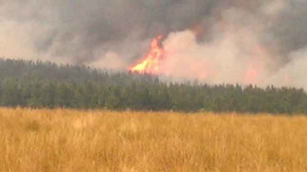 A bushfire burns out of control near Wagga Wagga, threatening properties.