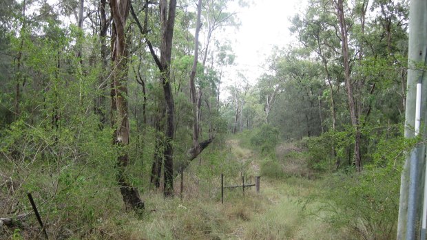 Near the new UTS body farm site at Yarramundi.