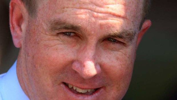 Tentative: trainer John O'Shea knows plenty of things must go right for the recently gelded  Kingdoms to triumph in Saturday's Metropolitan at Randwick.