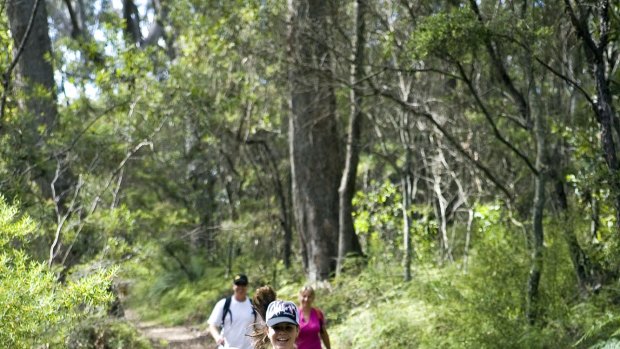 Out and about: a family on a bushwalk.