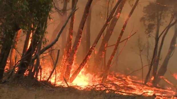 South Australians warned to brace for extreme fire conditions