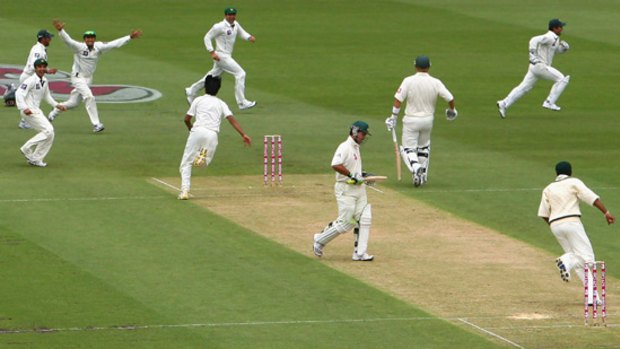 Pakistan celebrates after claiming the wicket of Ricky Ponting.