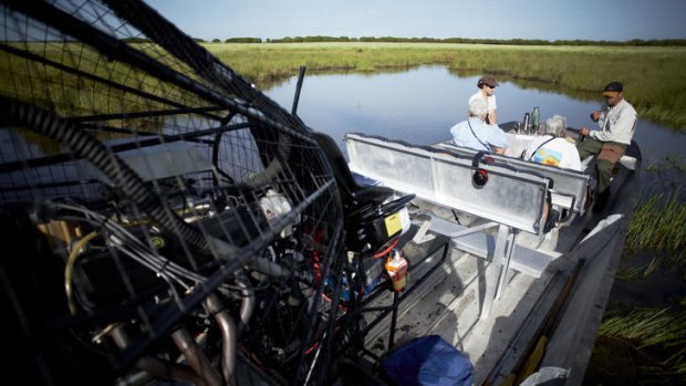 Plain sailing ... Mary River wetlands by airboat.
