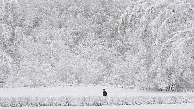 A man walks in a snow-covered park in Russia's southern city of Stavropol.  Russia is enduring an abnormally cold winter, the most severe in more than 70 years, according to local media.