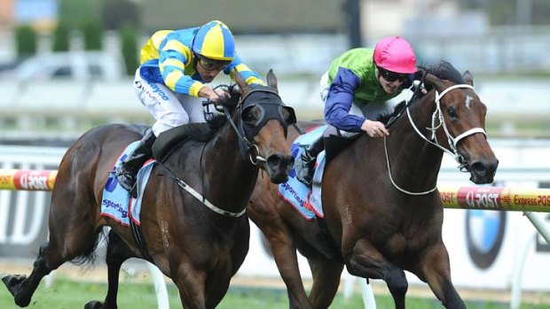 Game ... Damien Oliver and Sabrage, left, get the better of Snagster (James McDonald) in the Norman Robinson Stakes. The pair clash again in the group 1 Victoria Derby at Flemington.