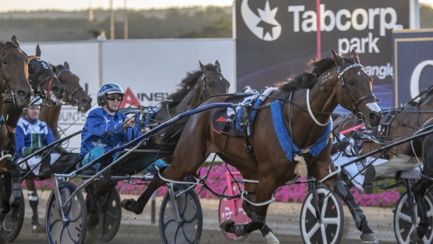 Thefixer powered home over Inter Dominion winner Tiger Tara in an upset in the Allied Express Sprint. 