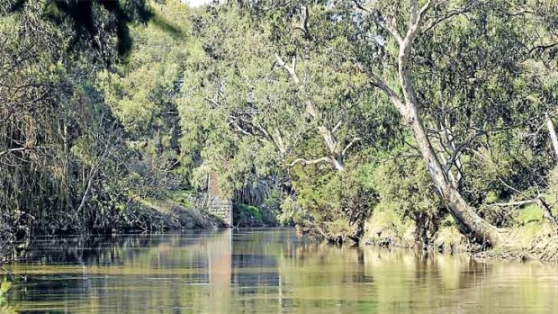 Only the Warrandyte section of the Yarra River has been declared suitable for swimming.
