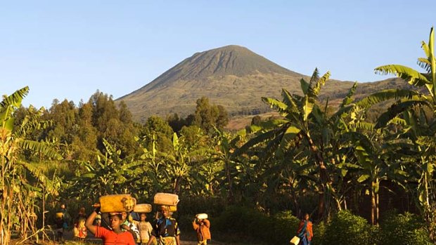 The approach to Rwanda's Volcanoes National Park.