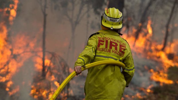 Fire services carry out controlled burns at Chapman Parade, Faulconbridge.