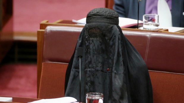 Senator Pauline Hanson earned the ire of colleagues for wearing the burqa during Senate question time.