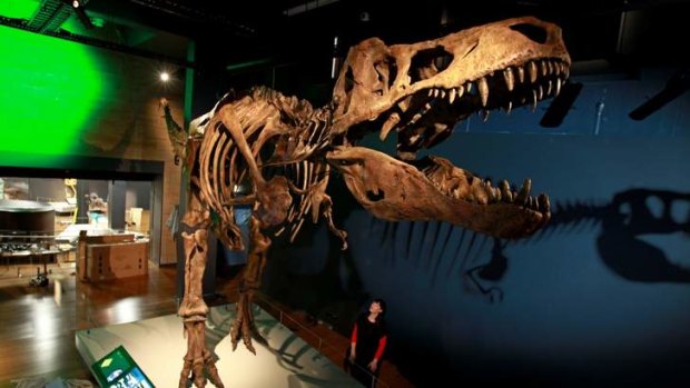 Titanic T-Rex: A replica of the largest tyrannosaurus ever found on display at the museum.