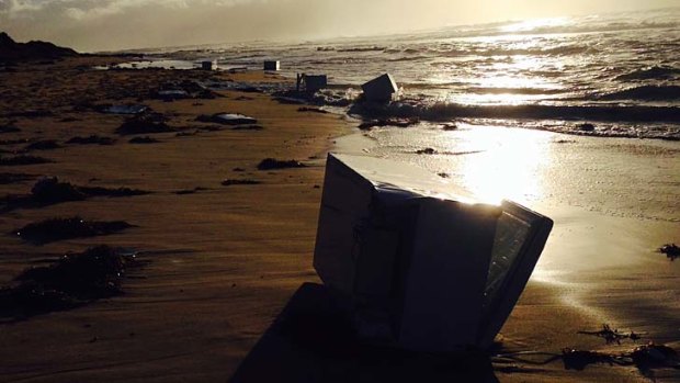 Beached: the Fisher and Paykel fridges.
