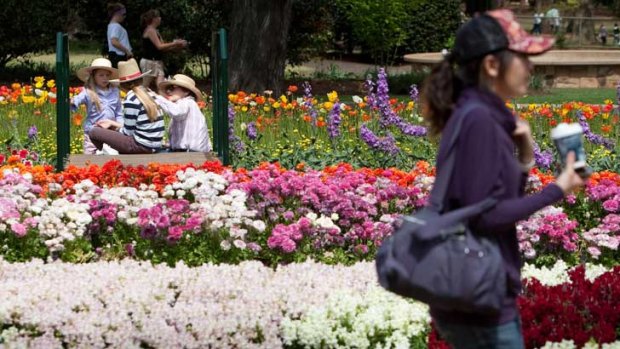 Toowoomba in bloom... the Garden City is expected to be hit hard by public service cuts.