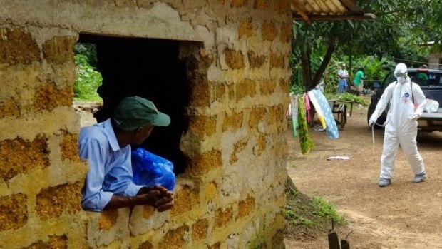 A resident watches as a Liberian Red Cross worker disinfects an area in the city of Banjol.