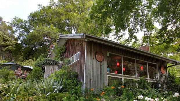 The cafe's leafy surrounds.