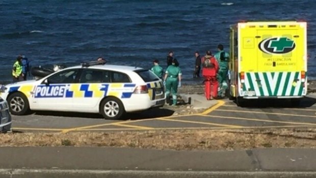 The diver who died after being hauled from the water off the south coast of Wellington on Sunday has been identified as Willie Collins
