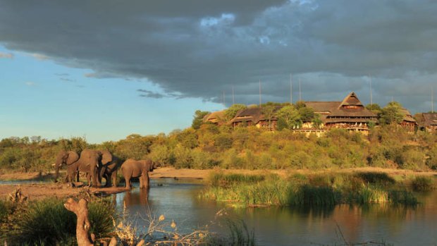 Elephants near Victoria Falls with the safari lodge at rear.