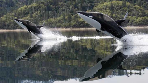 Synchronised breaching adds an artistic element to the Seabreacher's repertoire.