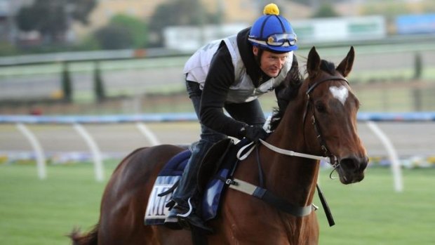 Odds-on: Lankan Rupee is a hot favourite for Friday night's Moir Stakes at Moonee Valley.