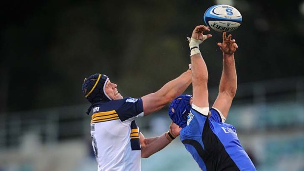 High ball ... Brumbies second-rower Mark Chisholm, left, and the Force's Nathan Sharpe fly in a lineout.