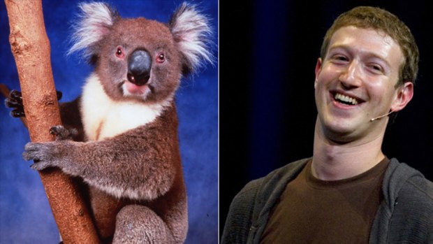 A new book set to be released next week makes the allegation that Facebook founder and CEO Mark Zuckerberg and colleagues dined on koala meat in 2004.