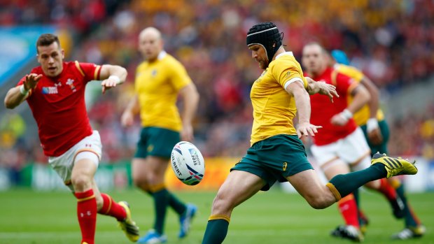 Evergreen: Matt Giteau is set to play his 100th Test for the wallabies.