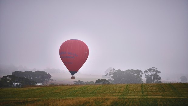 Hearts are sure to soar in a hot air balloon.