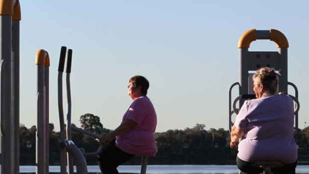 Al fresco circuit training ... Diana Koszek (left) and her friend use the newly-installed exercise equipment at Chipping Norton Lake.