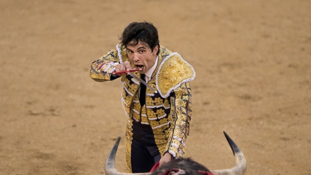 Spanish bullfighter Juan Del Alamo aims his sword just before killing a bull in Madrid.