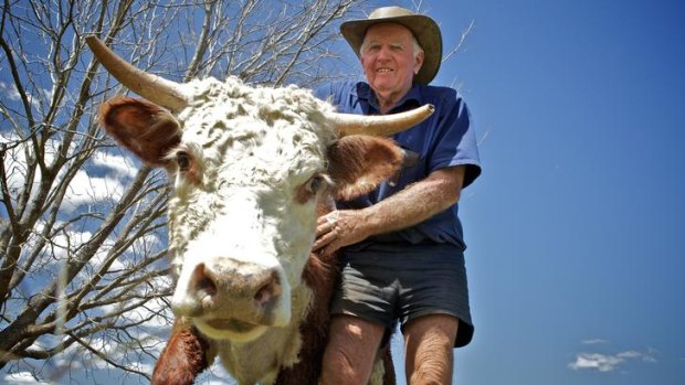 Kyogle beef cattle farmer Rolly Harrison is worried about potential damage to farmland.