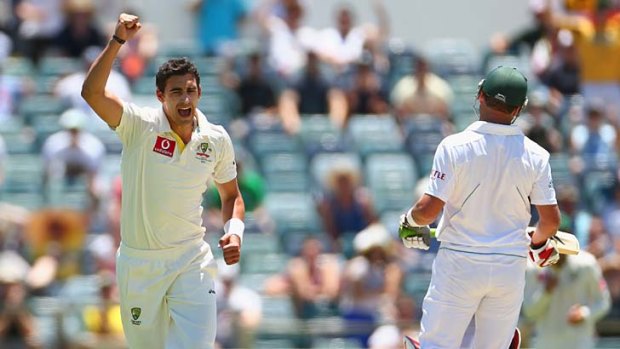 Fit and firing ... Young quick Mitchell Starc, shown here celebrating after dismissing South African Jacques Kallis, has questioned Cricket Australia’s controversial fast bowling policy.