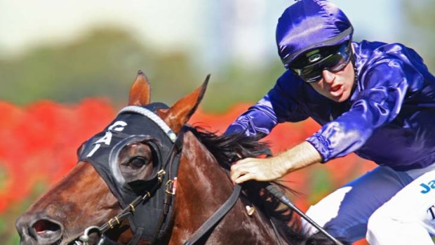 Big question &#8230; Tommy Berry has retained the ride on super impressive Ajax Stakes winner Niagara in the weight-for-age George Ryder Stakes against the older horses at Rosehill on Saturday.