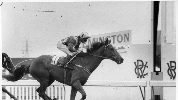 Birth of a legend: Cassidy and Kiwi after the famous last-to-first victory in the 1983 Melbourne Cup.